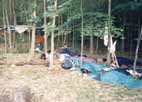 osada_m.jpg (8458 bytes)